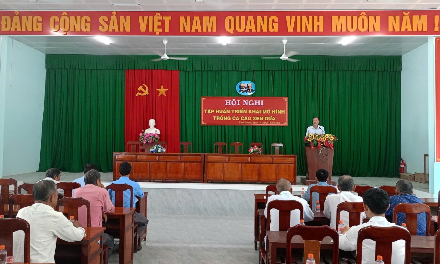Bình Phước Thành Lập Mới Tổ Hợp Tác Ca Cao Xen Dừa